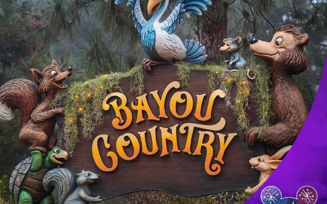 History of Bayou Country