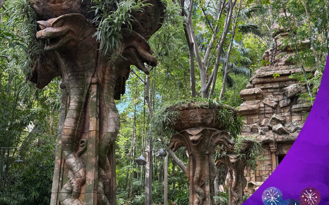 Into the Jungle with Alex