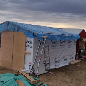Covered in Tyvek and tarp until we were ready to install the metal