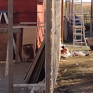 Our walls were straight and plumb