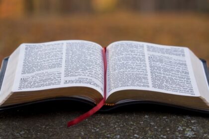 Thumbnail for the post titled: Liturghii și programe